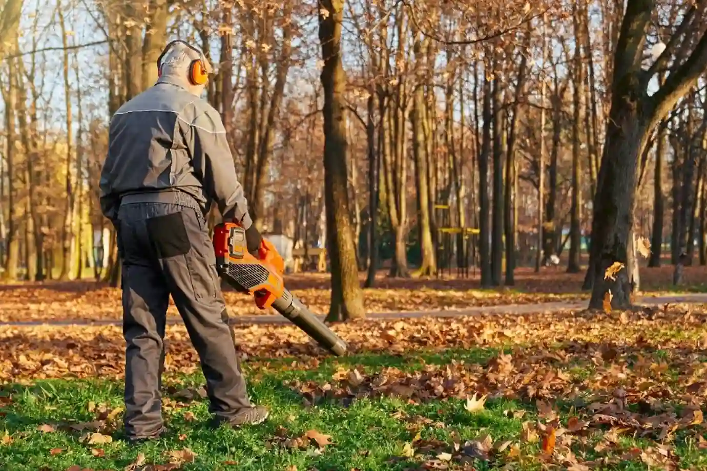 Tree Service
